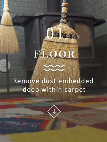 Floor - Remove dust embedded deep within carpet